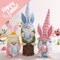 Easter Gnomes Plush Decoration, 3 PCS Spring Bunny Dolls with Egg Handmade